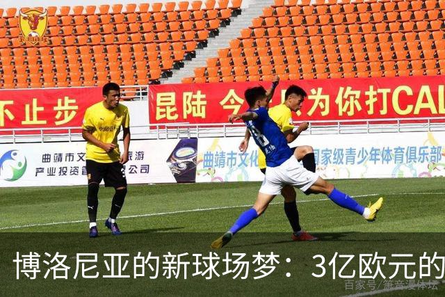 博洛尼亚的新球场梦：3亿欧元的足球神话